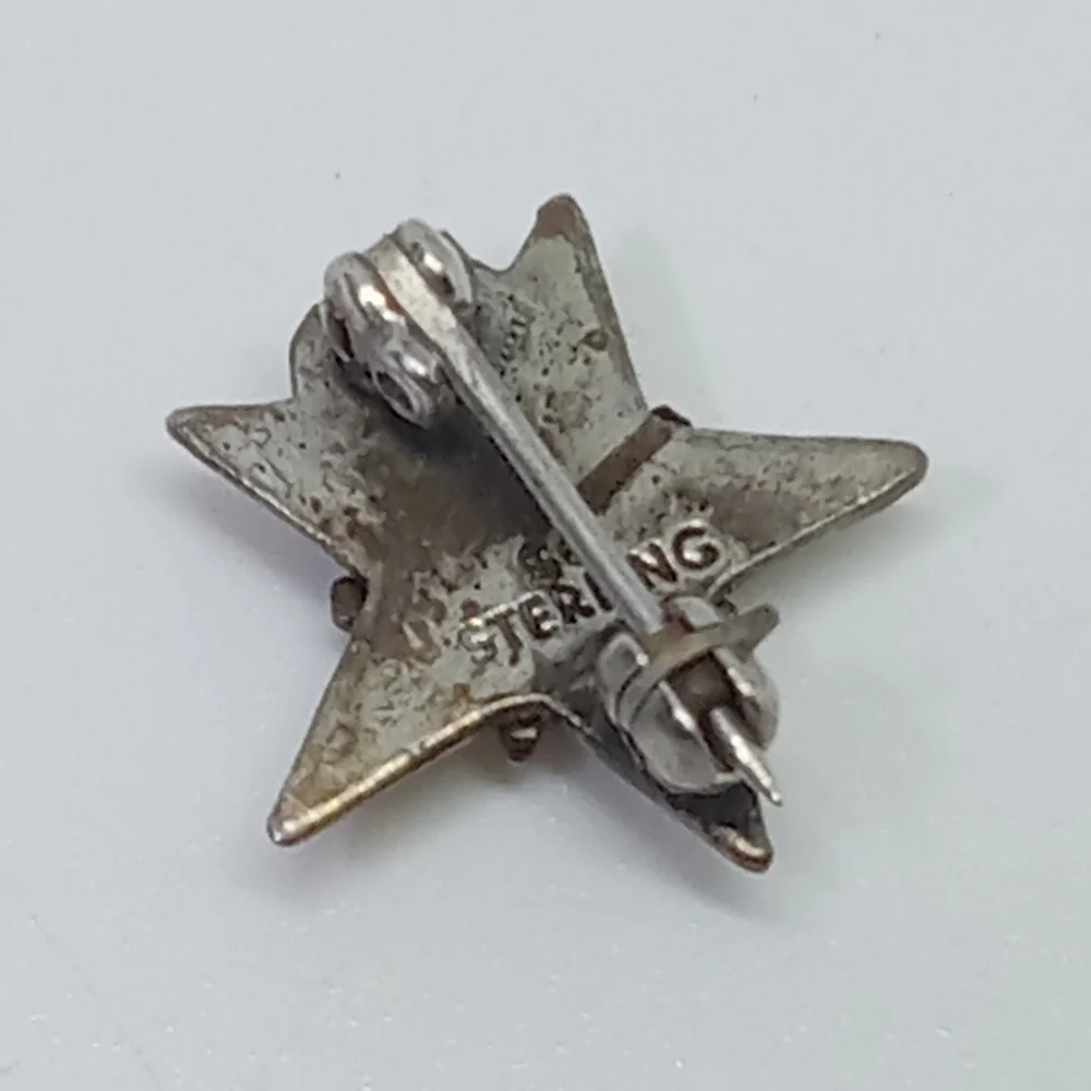 * vintage sterling silver 925 tiny OES Order of the Eastern Star mason pin
